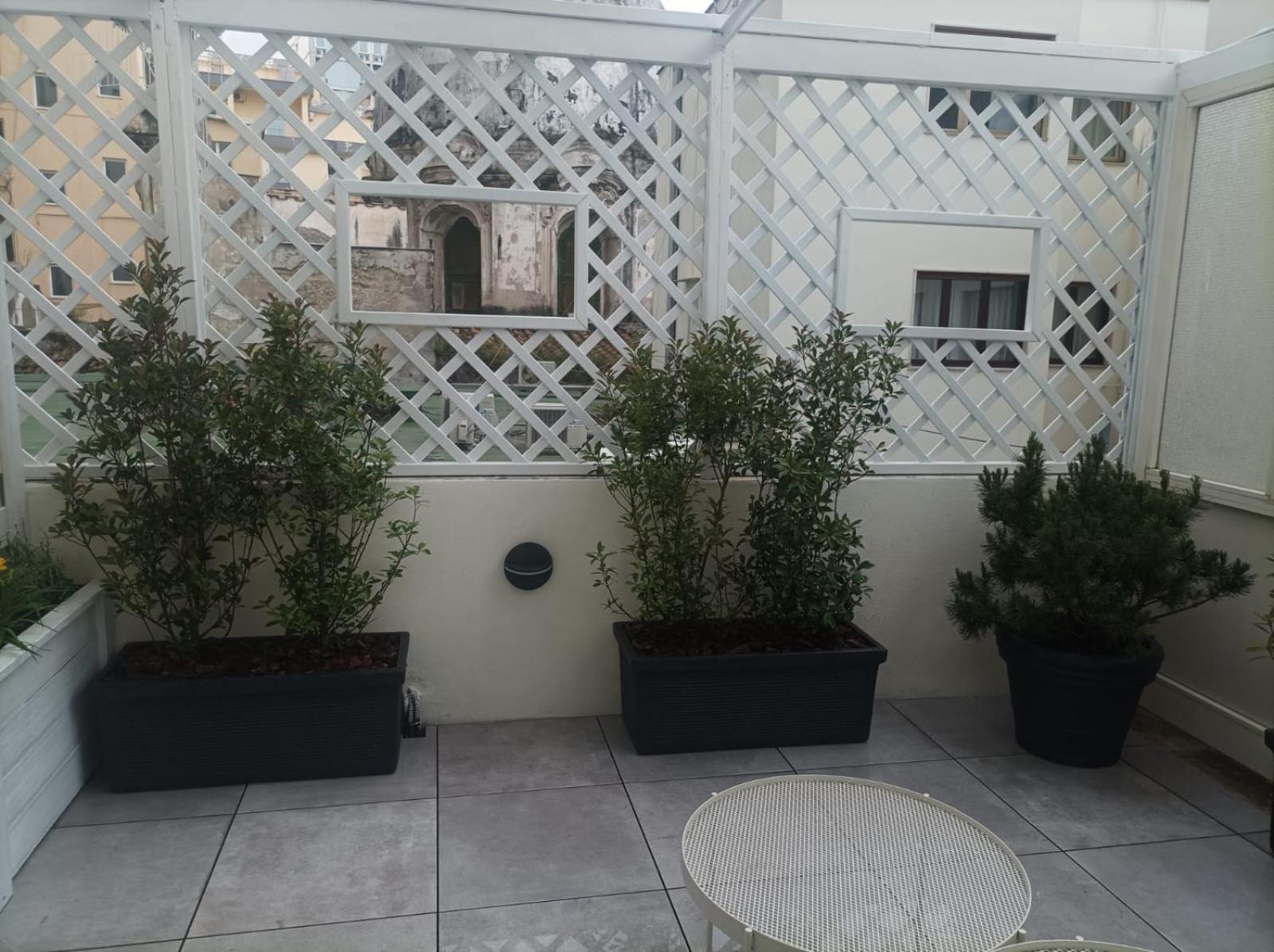 Guest house Domus Cervantes
